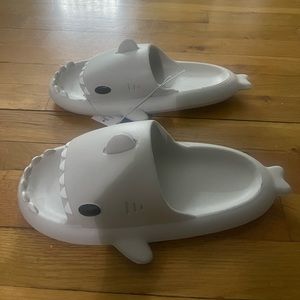Cloud Shark Slides